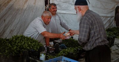 Marché CRD : Comprendre les enjeux et opportunités pour les investisseurs