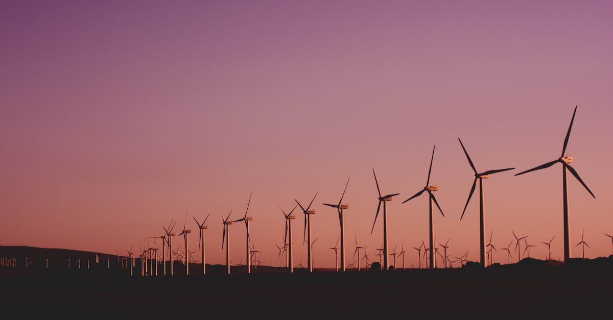 Le développement durable : enjeux et solutions pour un avenir responsable