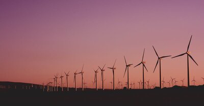 Le développement durable : enjeux et solutions pour un avenir responsable