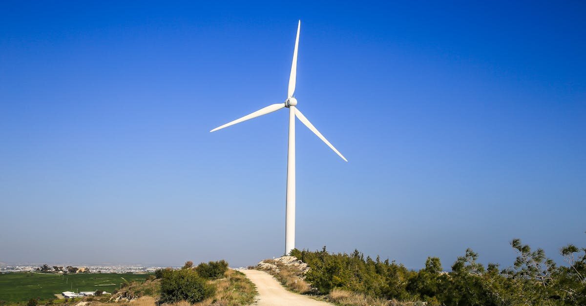Développement durable : Les clés pour un avenir écoresponsable