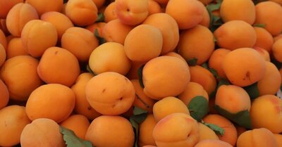 Adaptation au marché : Stratégies clés pour réussir dans un environnement en constante évolution