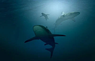 Quelles aides financières propose le comité d’entreprise Chantiers de l’Atlantique en 2025 et sous quelles conditions ?