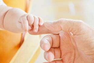 Tout savoir sur la holding patrimoniale en 2025 : avantages et fonctionnement
