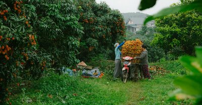 Pénétration de marché : Stratégies efficaces pour conquérir de nouveaux segments