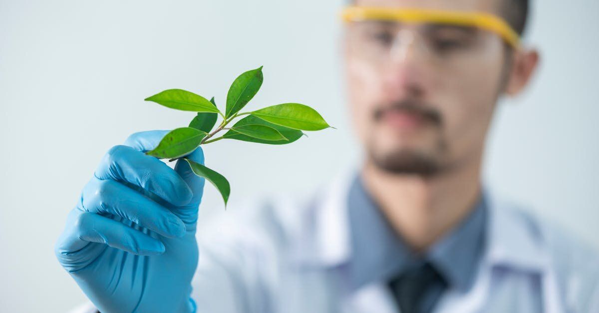 Innovation produit : comment transformer vos idées en réussites commerciales
