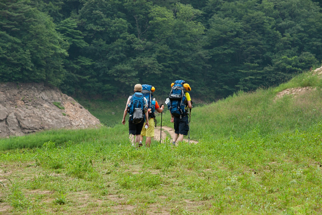 découvrez le tracking, une méthode efficace pour suivre et analyser le comportement des utilisateurs en ligne. optimisez vos stratégies marketing grâce à des données précises et améliorez l'expérience client.