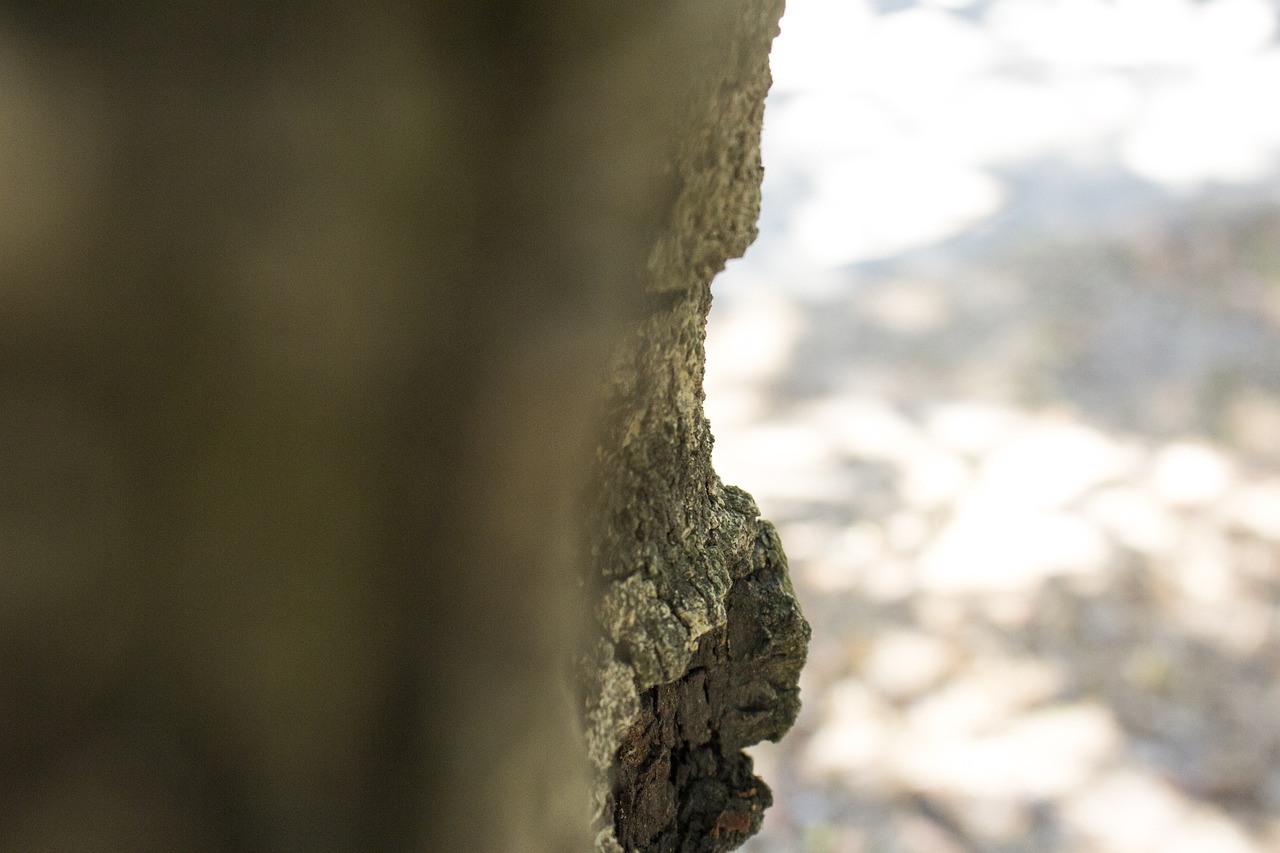 inscrivez-vous facilement et rapidement pour accéder à tous nos services et avantages exclusifs. créez votre compte dès maintenant pour profiter d'une expérience personnalisée.